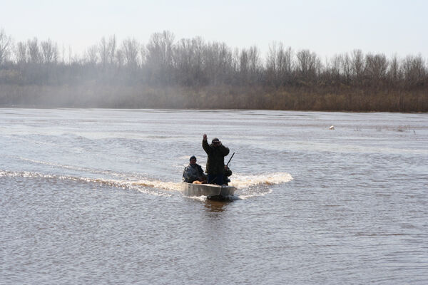 Охота на уток