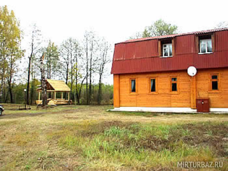 Ольгино, Рязанская область: фото 4