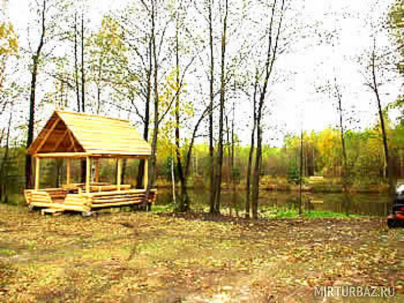 Ольгино, Рязанская область: фото 5