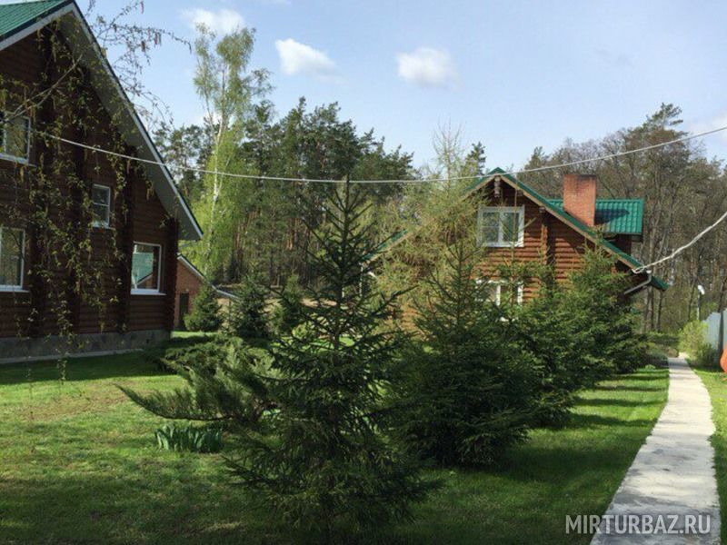 На Маклоке, Воронежская область: фото 2