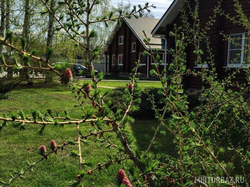 На Маклоке, Воронежская область: фото 3