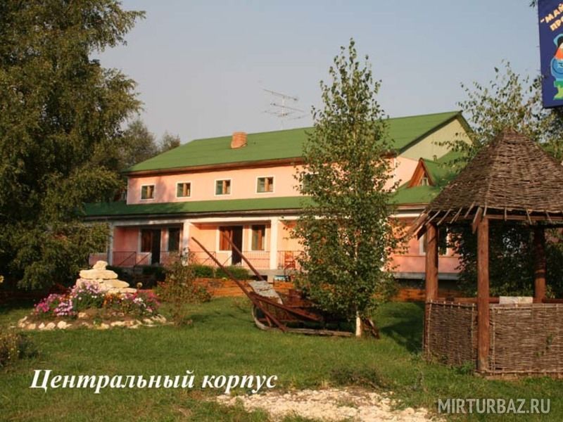 Майор Пронин, Рязанская область: фото 3