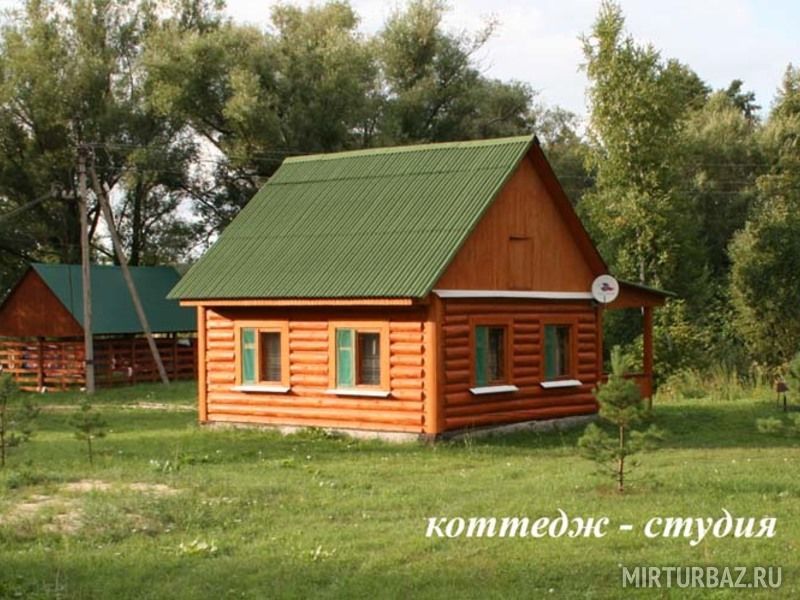 Майор Пронин, Рязанская область: фото 4