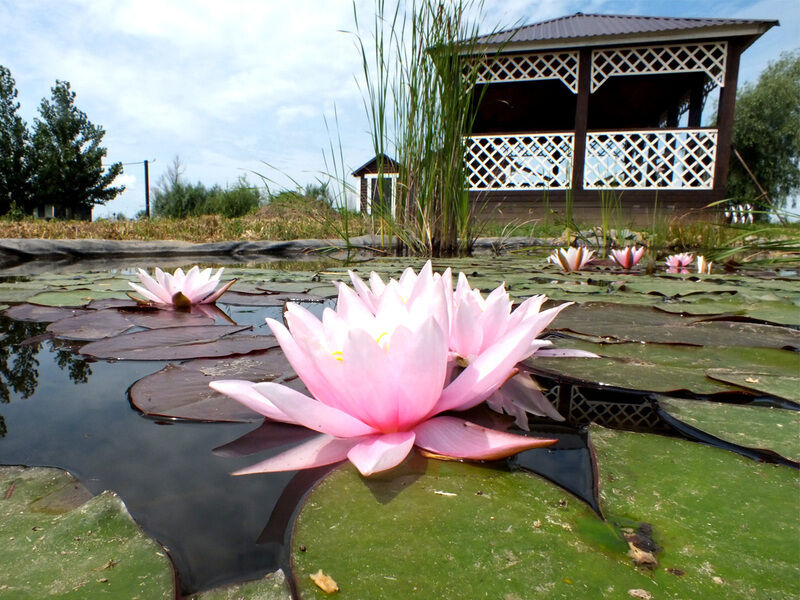 Кабаний Остров, Астраханская область: фото 5