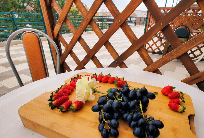 Полулюкс 5-местный 1-комнатный (с террасой)