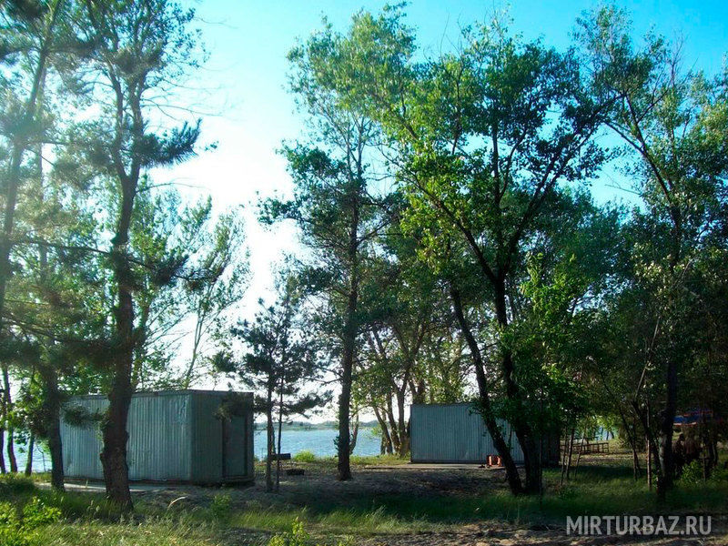 Дон союз, Волгоградская область: фото 2