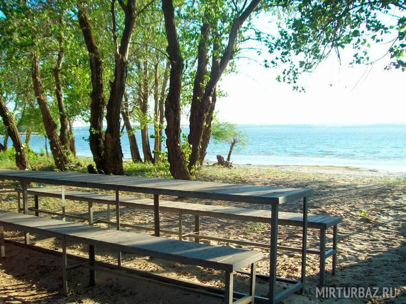 Дон союз, Волгоградская область: фото 3