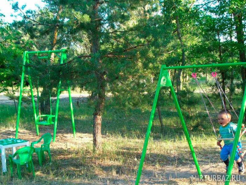 Дон союз, Волгоградская область: фото 4