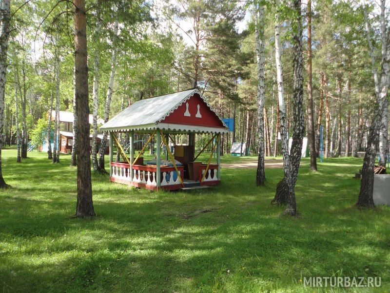 Обские просторы, Новосибирская область: фото 4