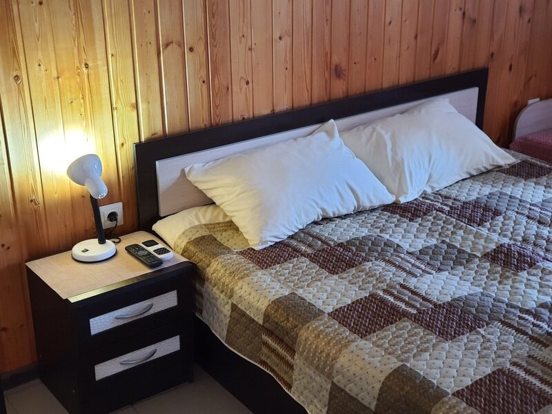 Стандартный 2-местный (с видом на горы)