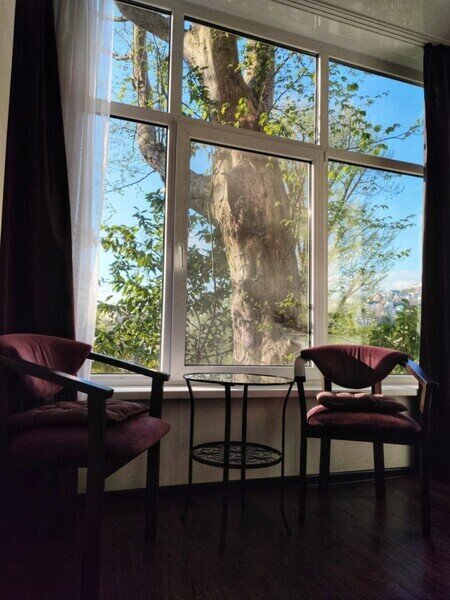 Люкс 2-местный DBL (вид на лес, №14)