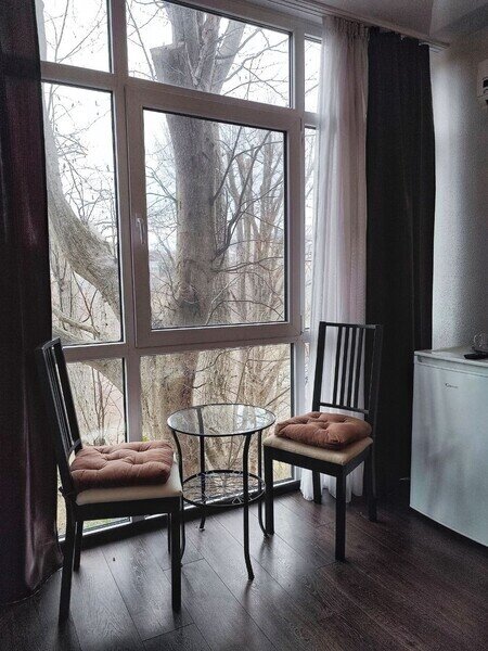 Люкс 2-местный DBL (вид на лес, №18)