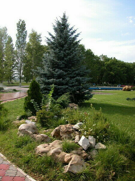 Чардым-Дубрава, Саратовская область: фото 3