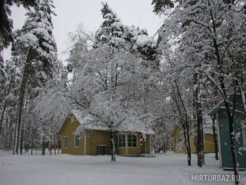 База отдыха Сосновый бор, Рязанская область, Агломазово Спасский район 