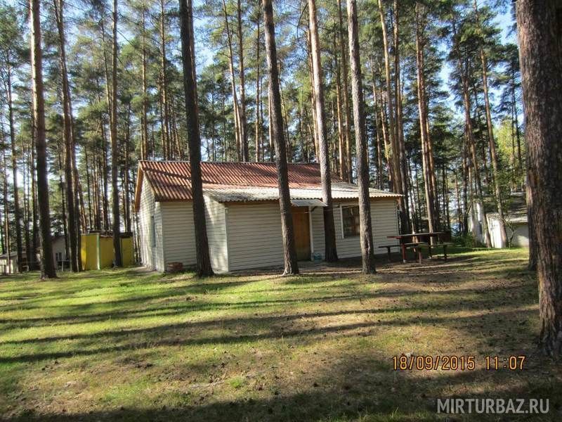 Сосновый бор, Рязанская область: фото 4