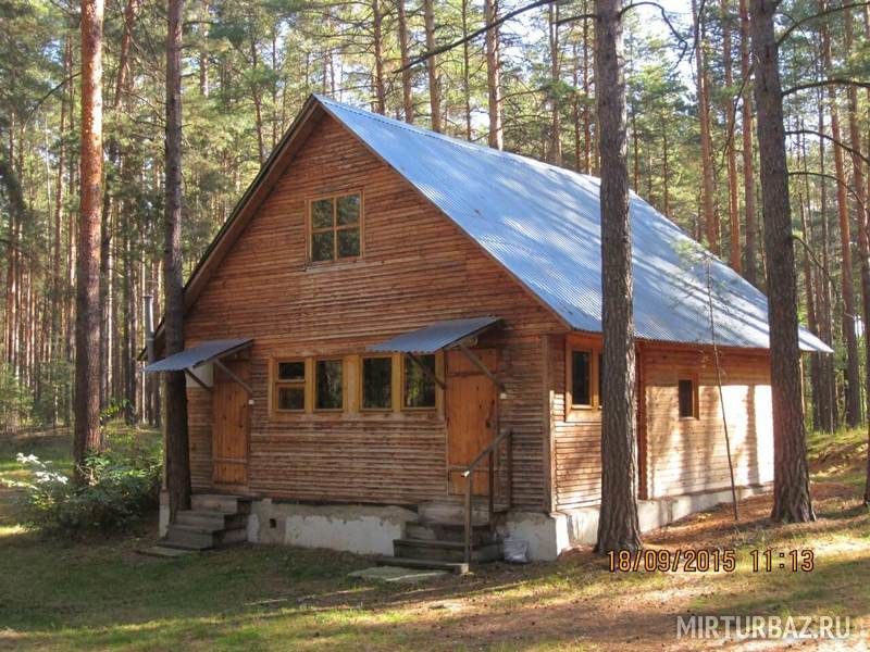 Сосновый бор, Рязанская область: фото 2