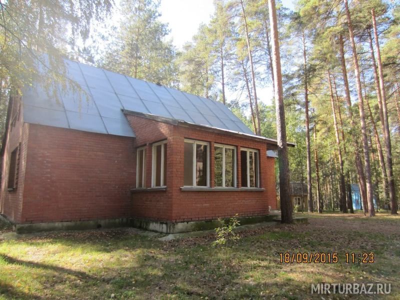 Сосновый бор, Рязанская область: фото 3