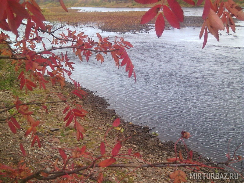 Варзугатур, Мурманская область: фото 4