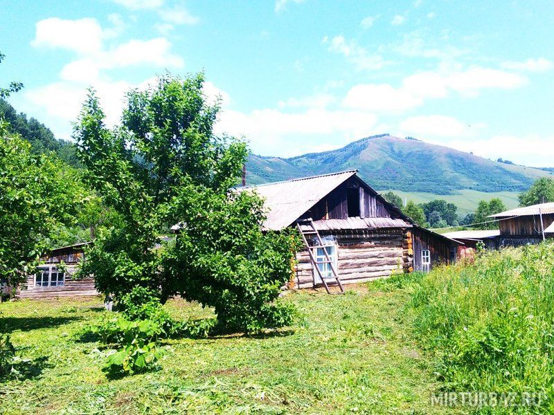 Ануй, Алтайский край: фото 2