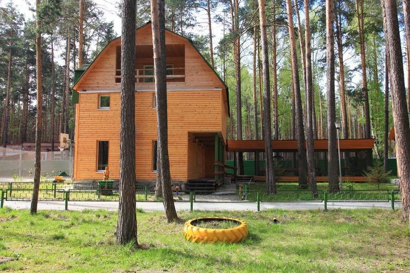 Дом Большой | Зеленый бор, Свердловская область