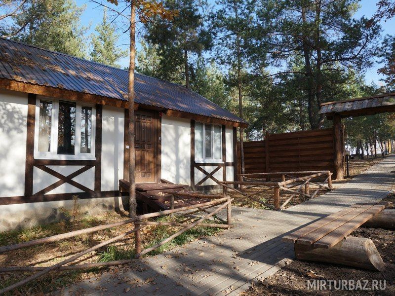 Горки, Орловская область: фото 3