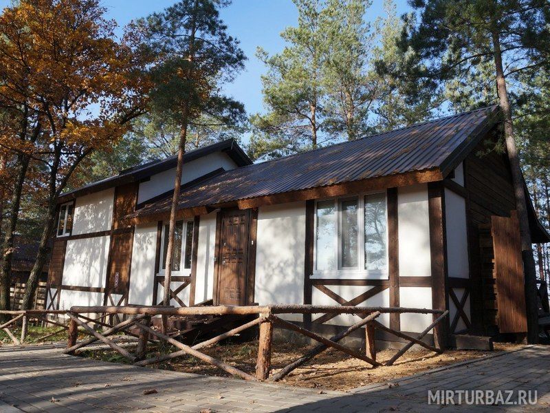 Горки, Орловская область: фото 4