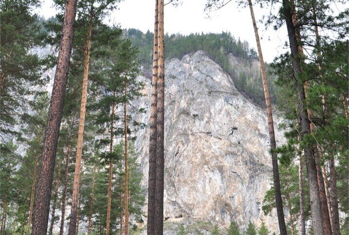 Делюкс (вид на гору)