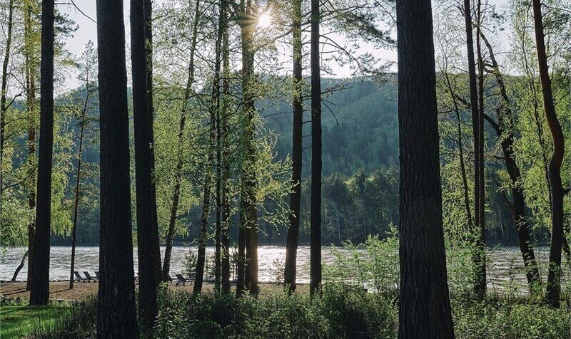 Делюкс (вид на реку)