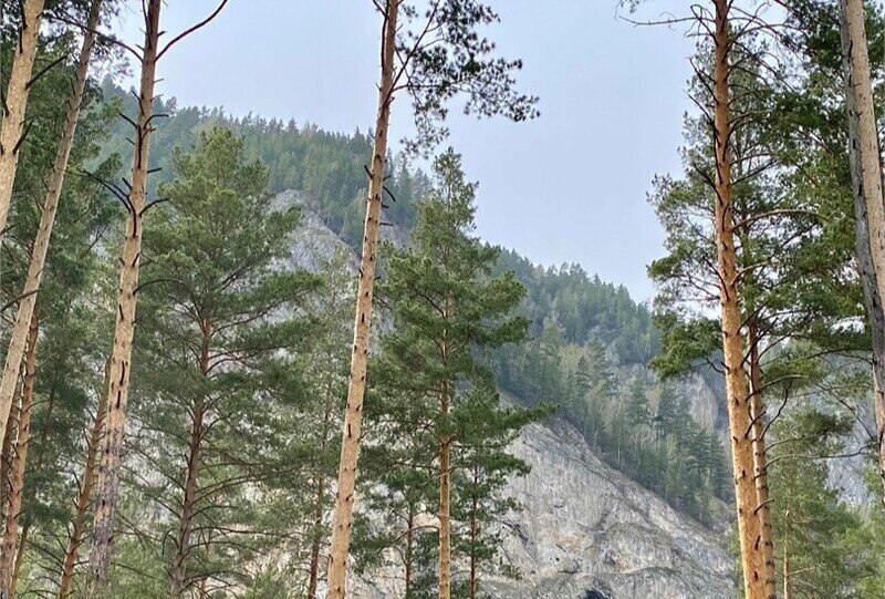 Стандарт Дабл (с видом на гору и балконом)