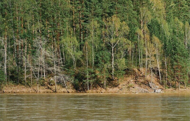 Стандарт Дабл (вид на реку)