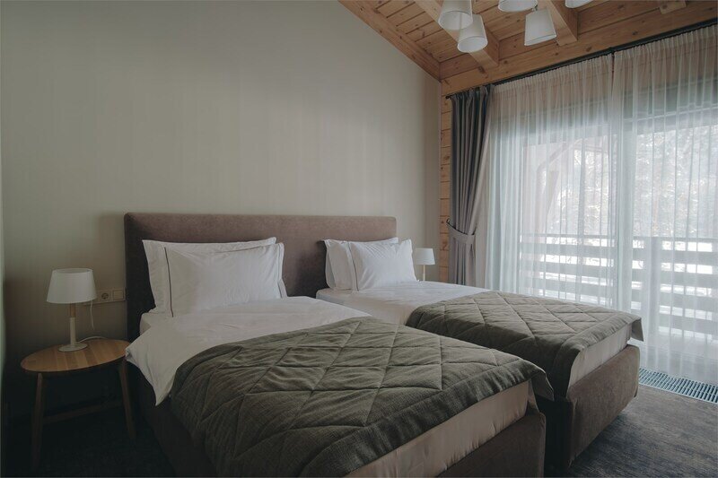 Стандарт Твин