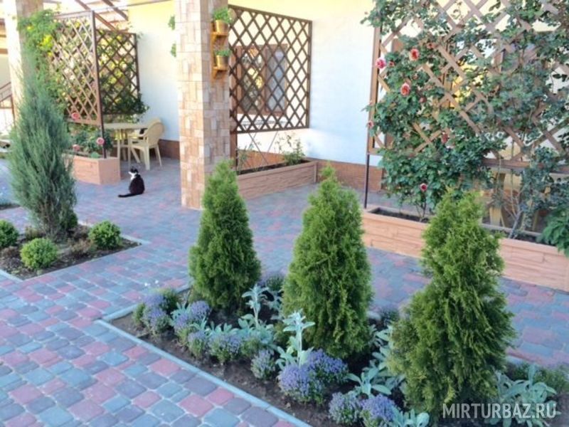 На Солнечной, Крым: фото 5