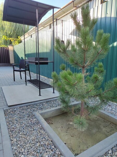 на Комсомольской, Волгоградская область: фото 5