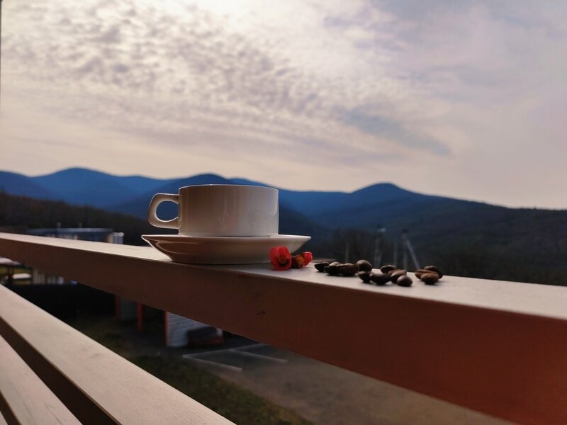 Полулюкс 2-местный (с террасой)