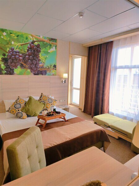 Полулюкс 3-местный (с террасой)