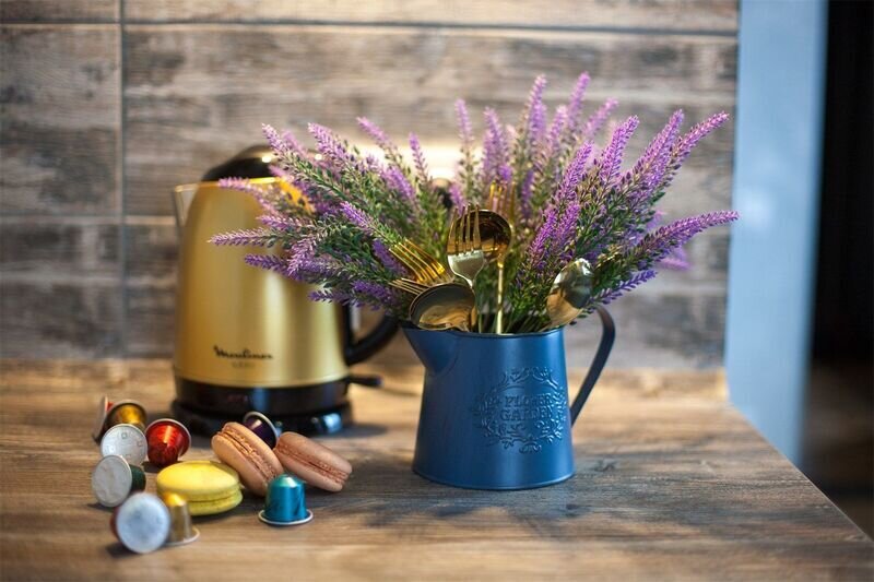 Семейный 4-местный (Полулюкс с видом на сад)