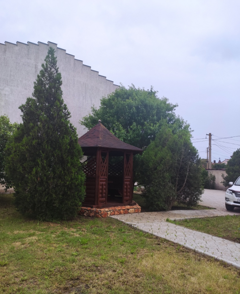  Клевер, Крым: фото 4