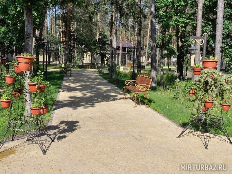 Зеленый Бор, Брянская область: фото 4