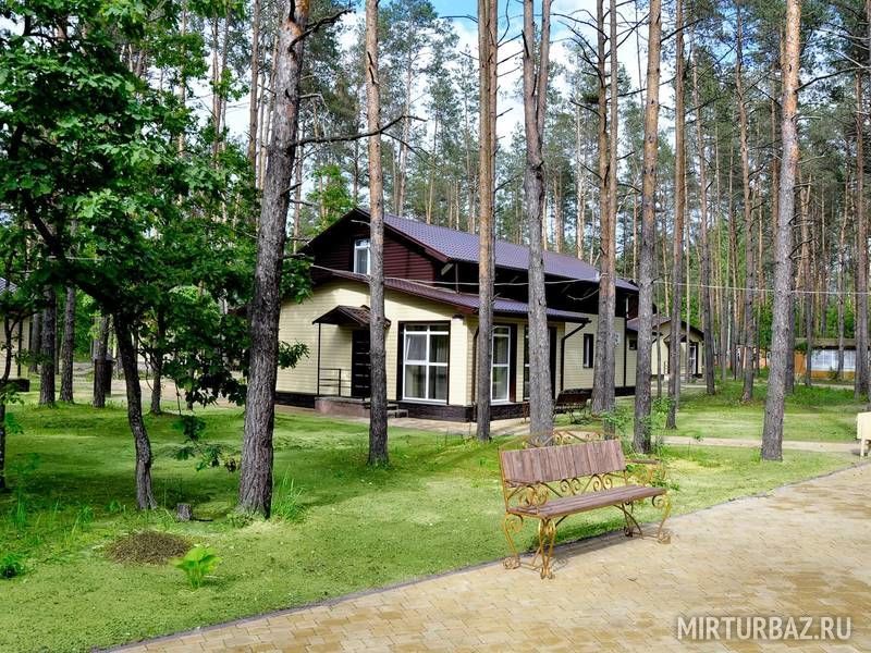 Зеленый Бор, Брянская область: фото 5