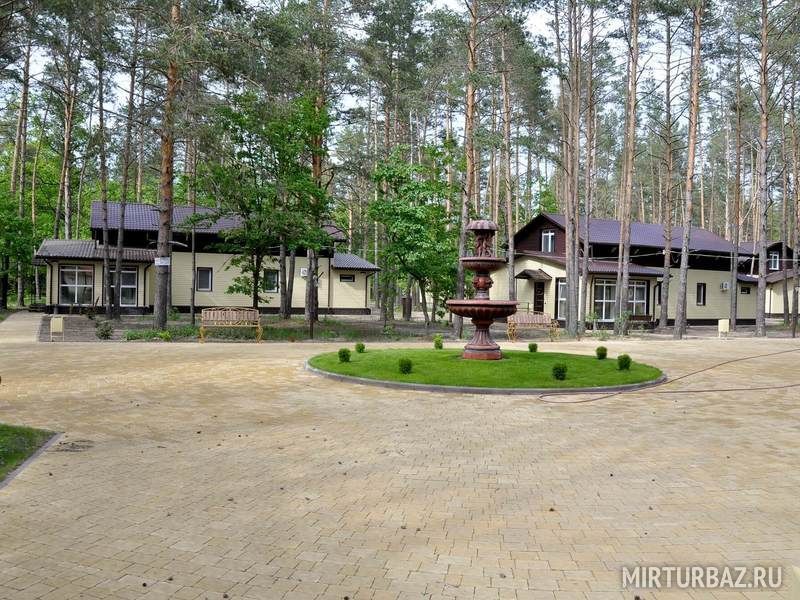 Зеленый Бор, Брянская область: фото 2