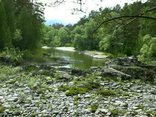 Песчаный пляж базы | Три сестры, Горный Алтай (Республика Алтай)