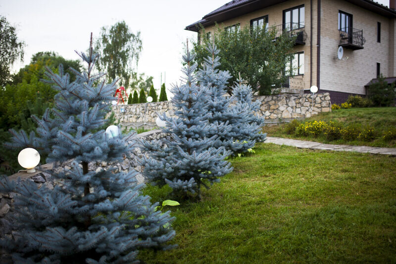 База отдыха Зеленая Долина, Тульская область, Бунырево Алексин Тула