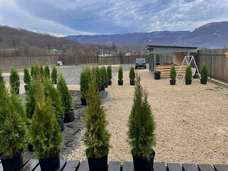 Гостевой Дом Dolina 560, Республика Адыгея: фото 5