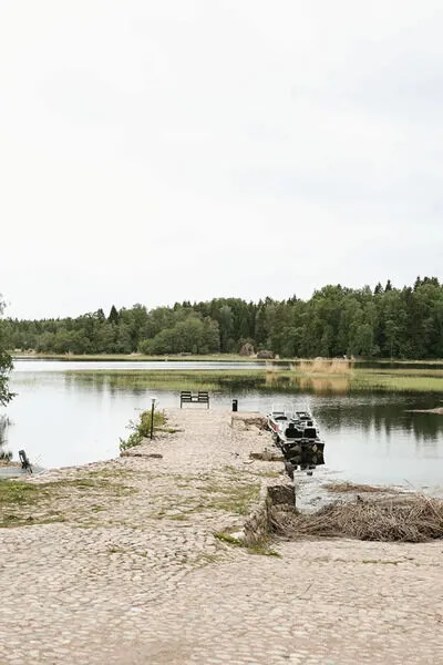 Утиный рай, Ленинградская область: фото 5