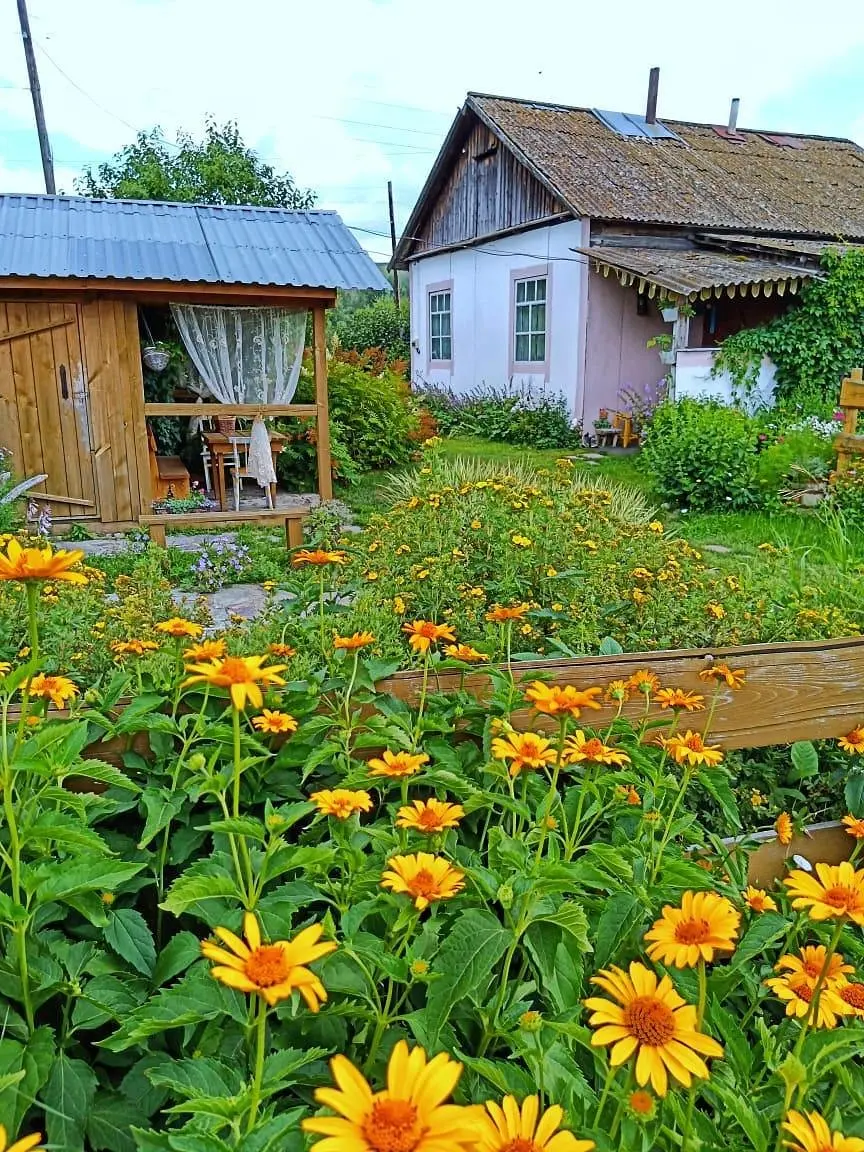 К бабушке, в деревню, Алтайский край: фото 5