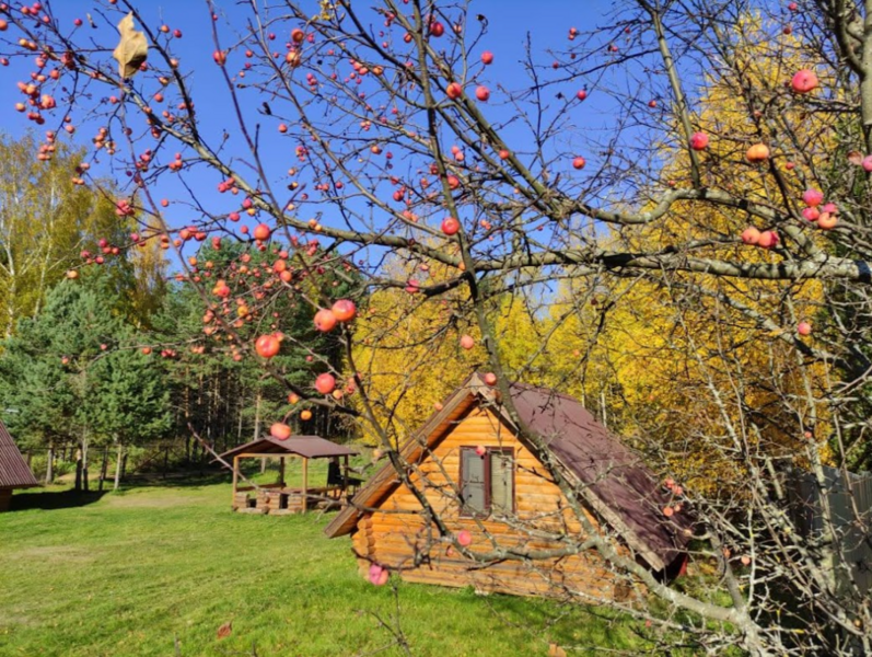 Дом рыбака Дунаец (бывш. Молога-Fish), Тверская область, Весьегонск 