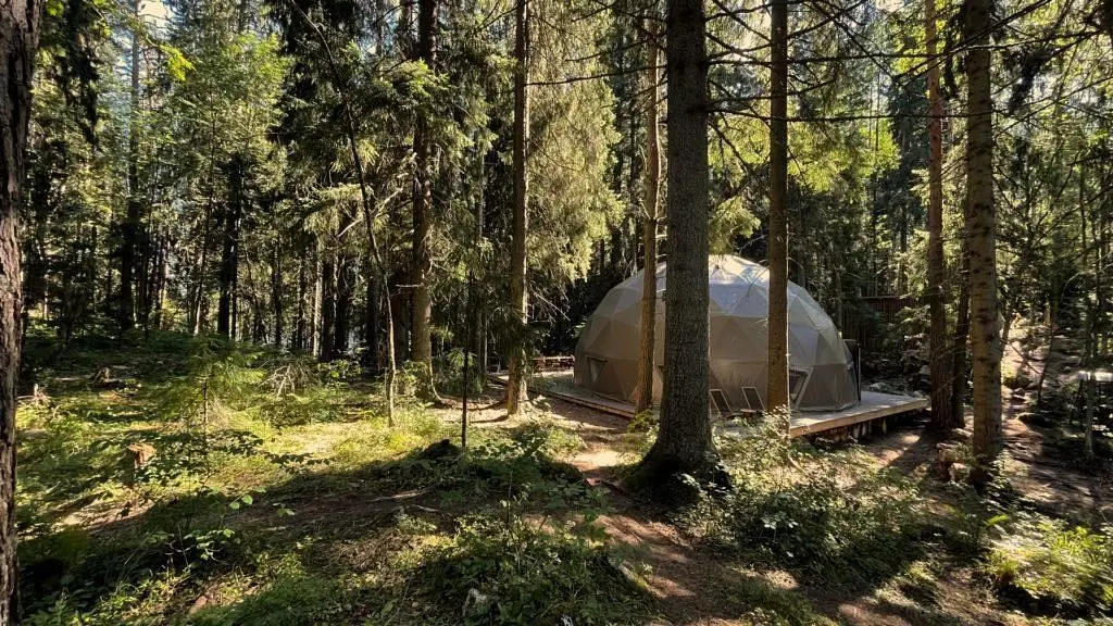 Вили Улей Карелия, Республика Карелия: фото 3