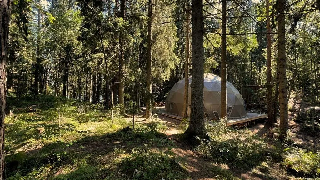 Вили Улей Карелия, Республика Карелия: фото 3