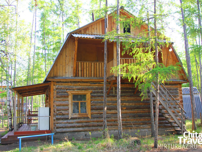 Тимон и Пумба, Забайкальский край: фото 4