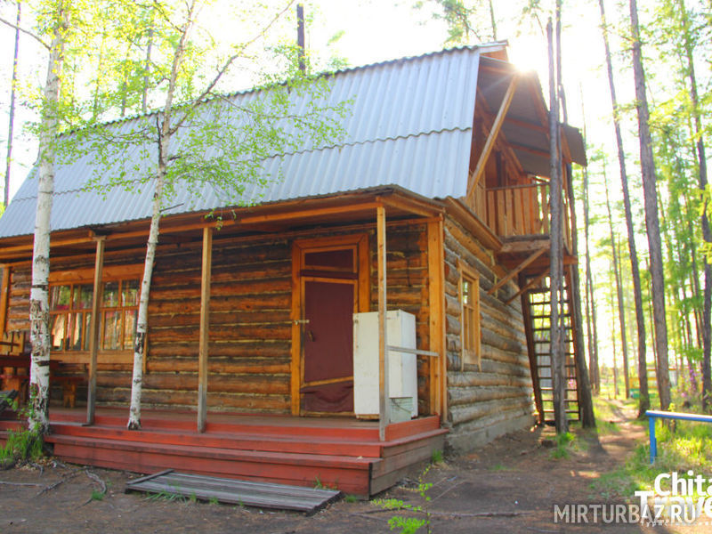 Тимон и Пумба, Забайкальский край: фото 5